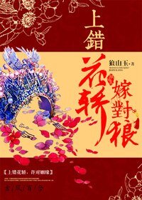 《上错花轿嫁对狼(GL)》
