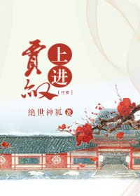 《(BG/紅樓同人)紅樓之上進賈赦》